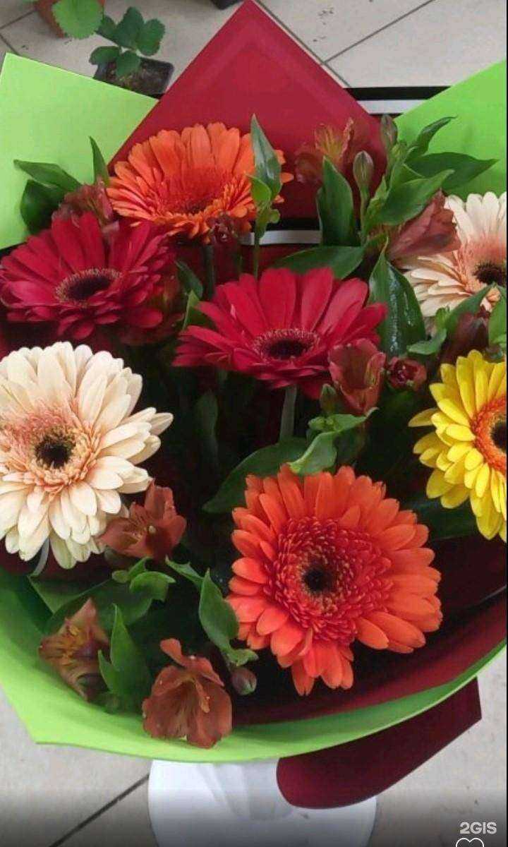 Отзывы на компанию Салон цветов, игрушек и подарков в Нижнем Новгороде c фото