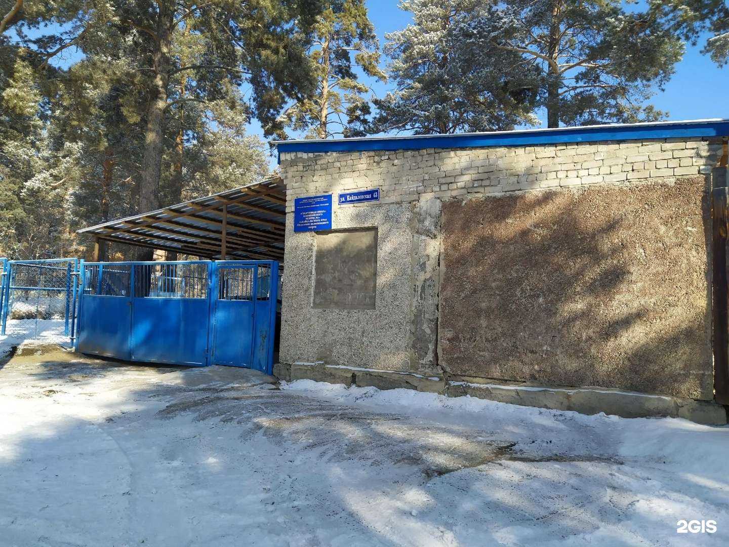 Отзывы на компанию СШОР Забайкальского края в Чите c фото - фотография 2 из 2