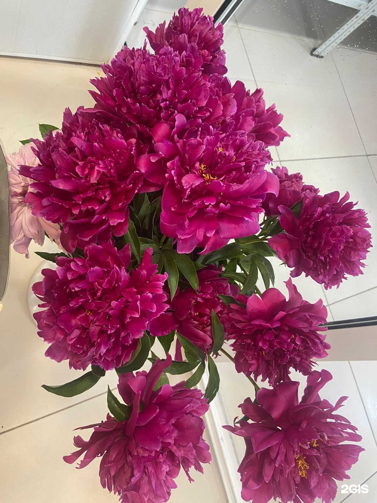 Отзывы на компанию Цветочный магазин в г. Нижневартовск c фото