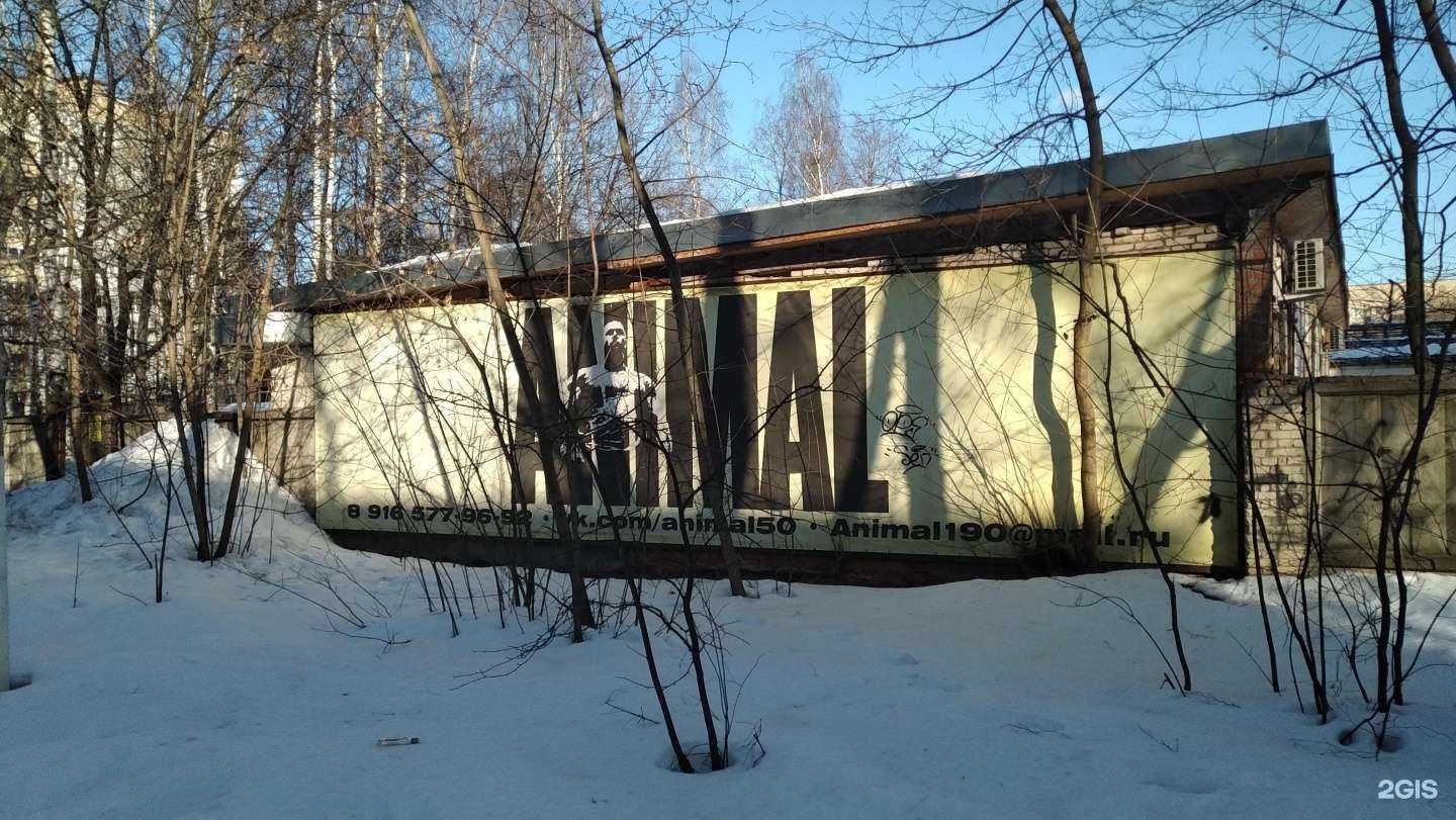 Отзывы на компанию Animal в г. Балашиха c фото
