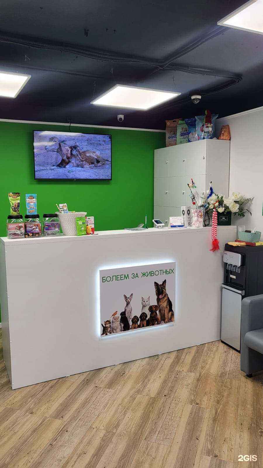 Отзывы на компанию Доктор Хвост в Томске c фото