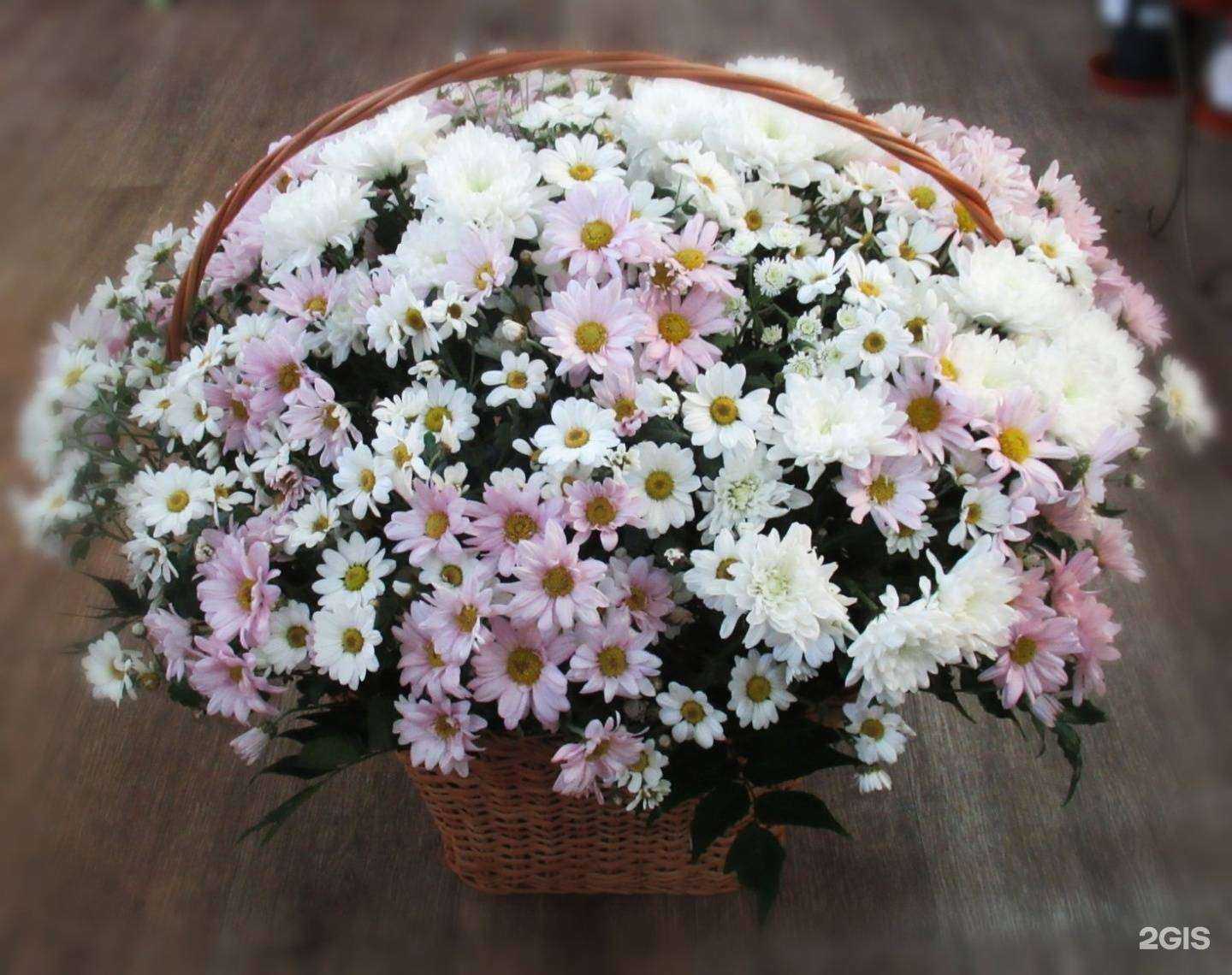 Отзывы на компанию Комбинат благоустройства в Железногорске c фото