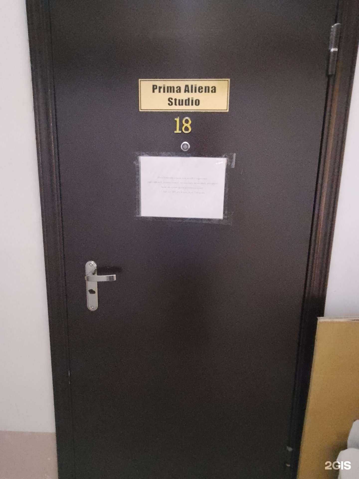 Отзывы на компанию Prima Aliena Studio в Новороссийске c фото