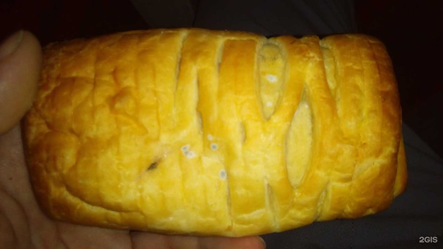 Отзывы на компанию Три панды в г. Тольятти c фото