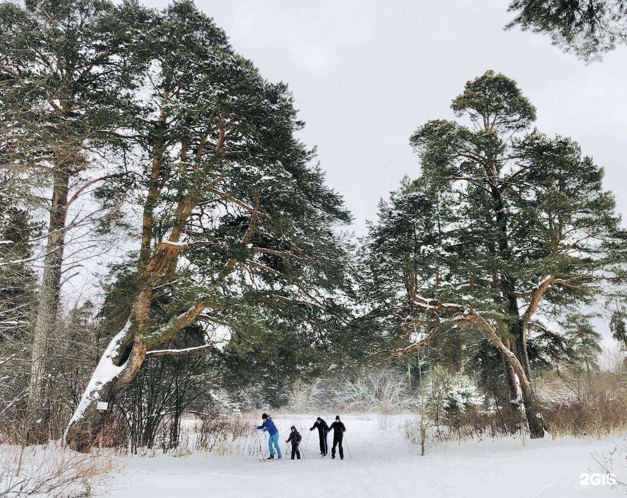 Отзывы на компанию Заречка в г. Киров c фото