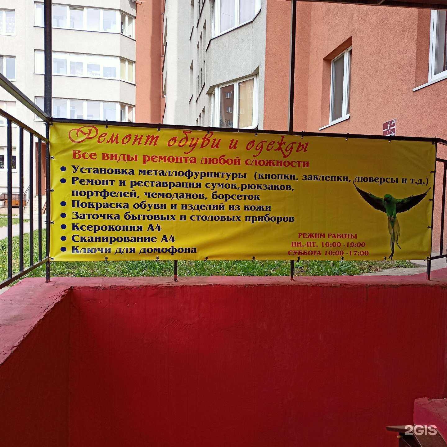 Отзывы на компанию Зелёный попугай в г. Калининград c фото