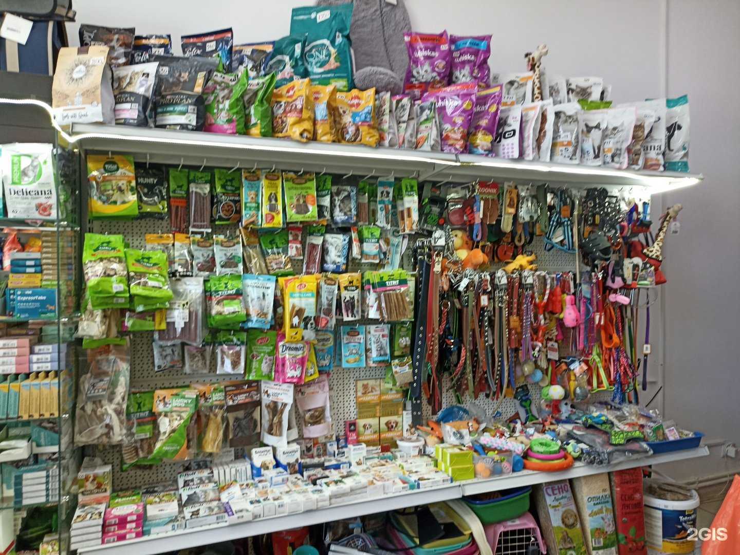 Отзывы на компанию Зоомагазин в г. Георгиевск c фото