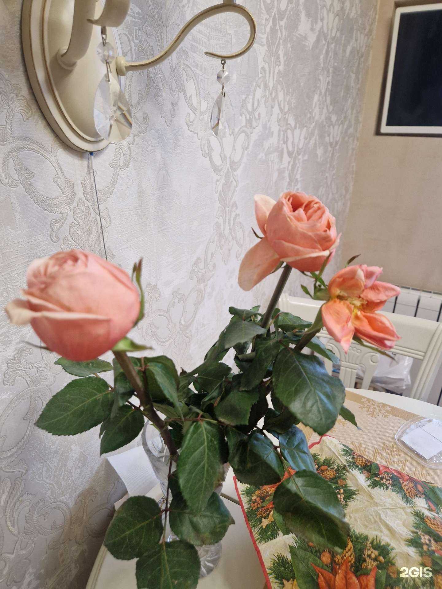 Отзывы на компанию Цветок в Вологде c фото