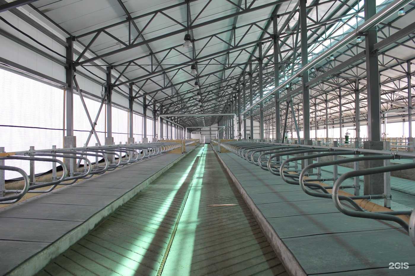 Отзывы на компанию Исет Групп в г. Калуга c фото