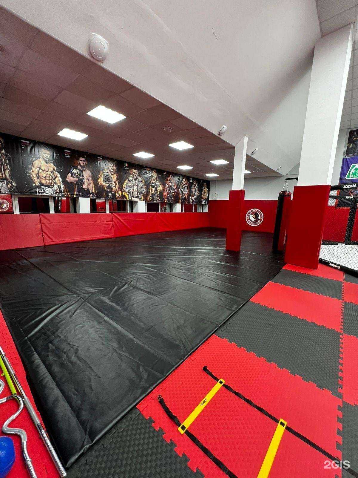Отзывы на компанию Академия ММА в Уфе c фото