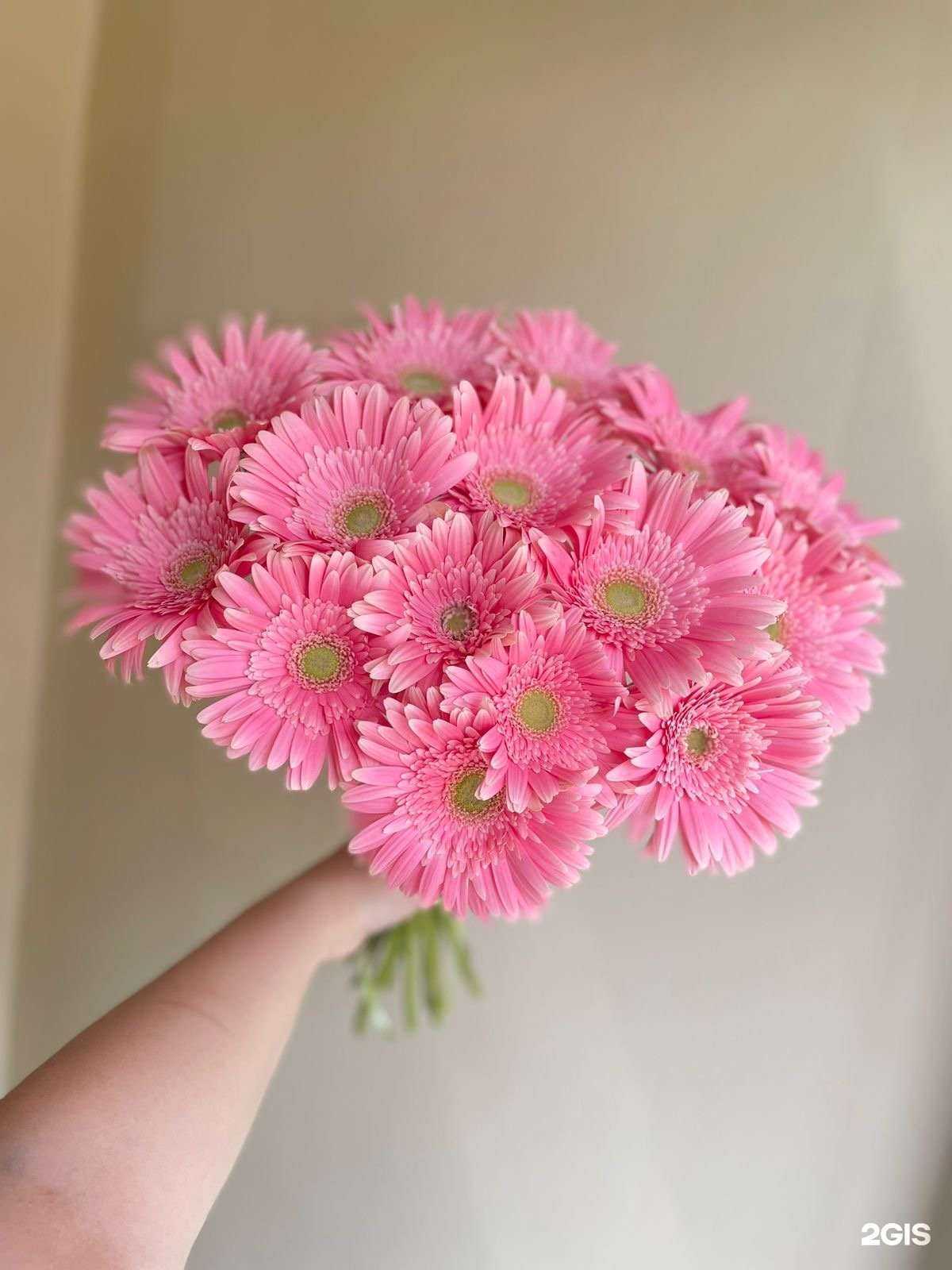 Отзывы на компанию 17 Букетов весны в Елабуге c фото