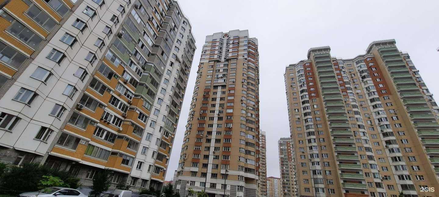 Отзывы на компанию Детская школа искусств №8 в Балашихе c фото - фотография 2 из 2