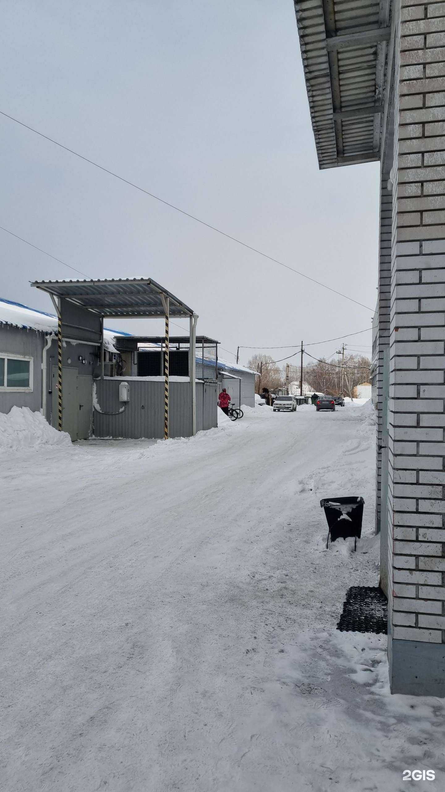 Отзывы на компанию Самокат в г. Новокузнецк c фото