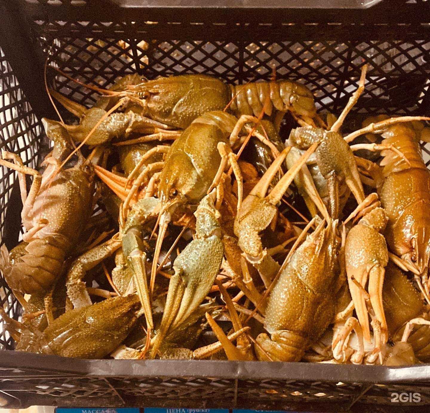 Отзывы на компанию Царь Рак в Челябинске c фото