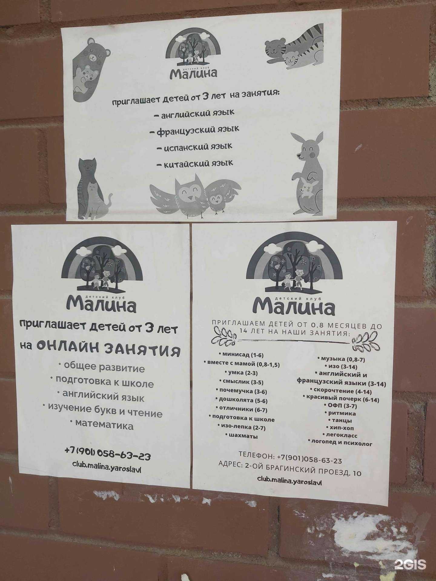 Отзывы на компанию Малина в Ярославле c фото