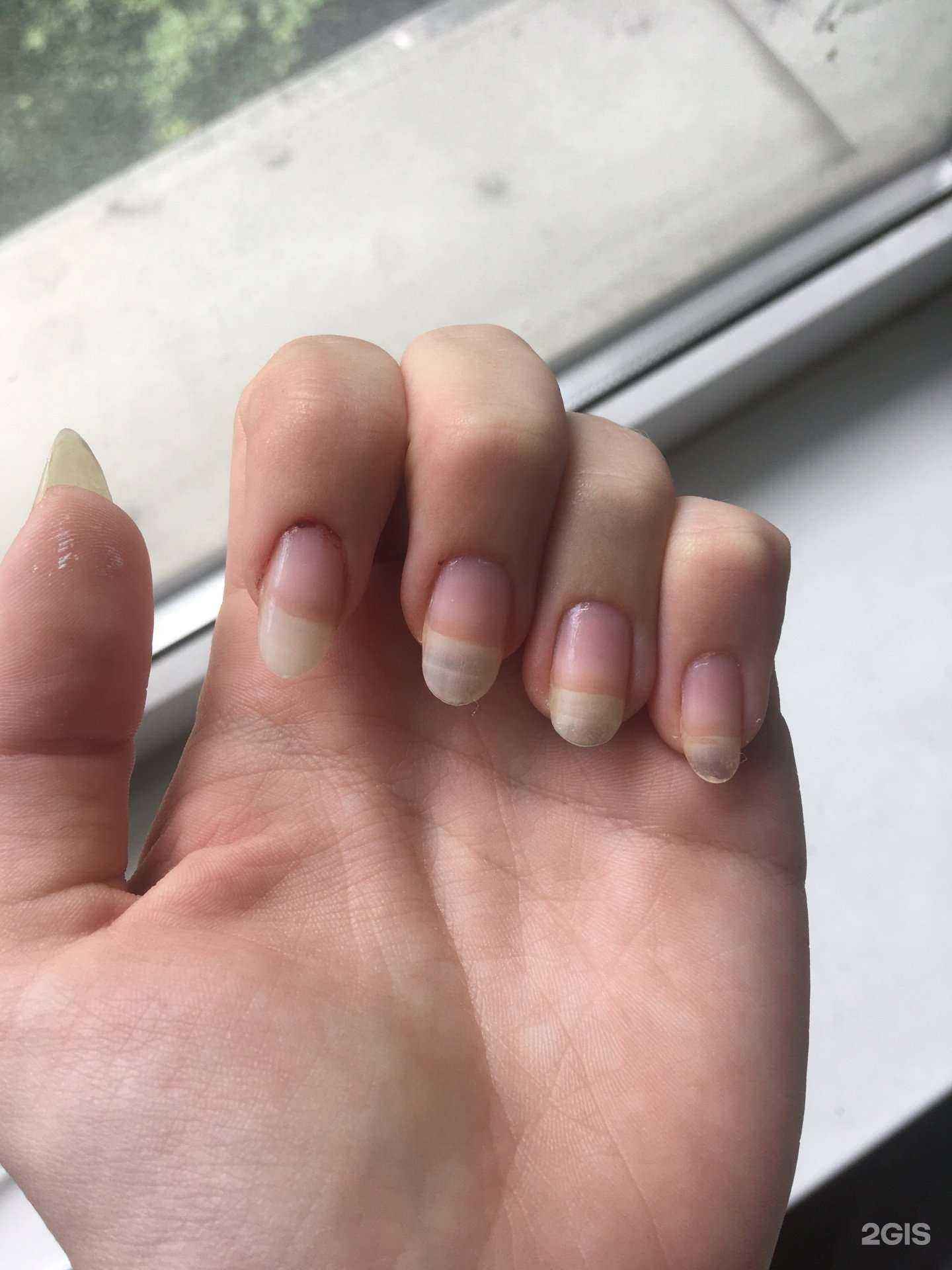 Отзывы на компанию Салон-парикмахерская в Калининграде c фото