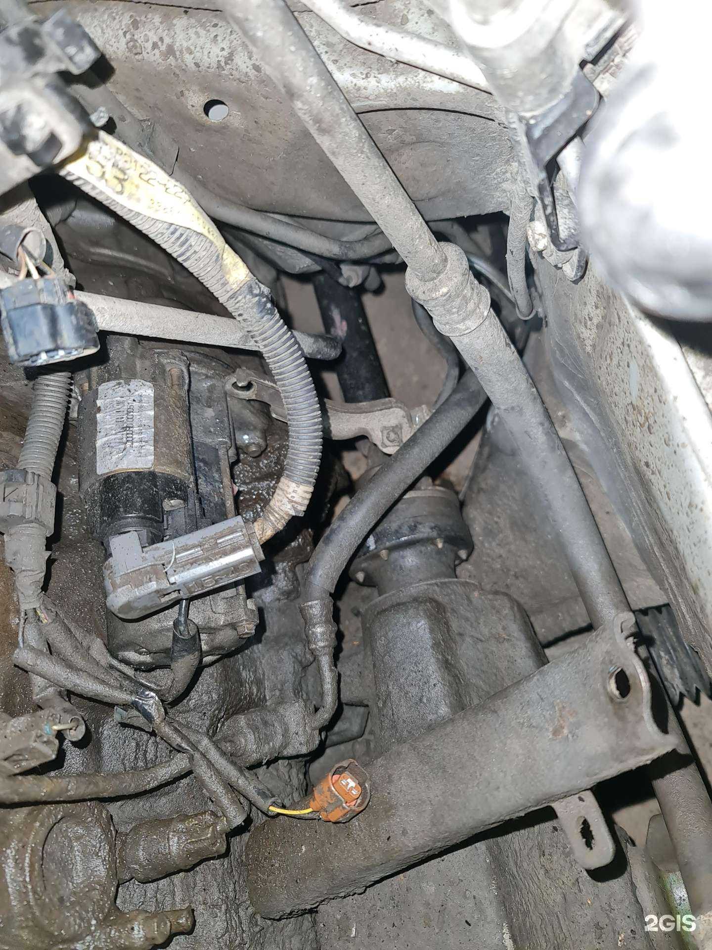 Отзывы на компанию Nskcustoms в Новосибирске c фото