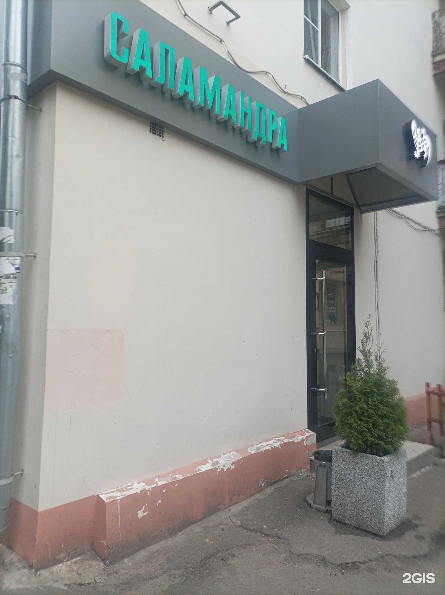 Отзывы на компанию Саламандра в Великом Новгороде c фото