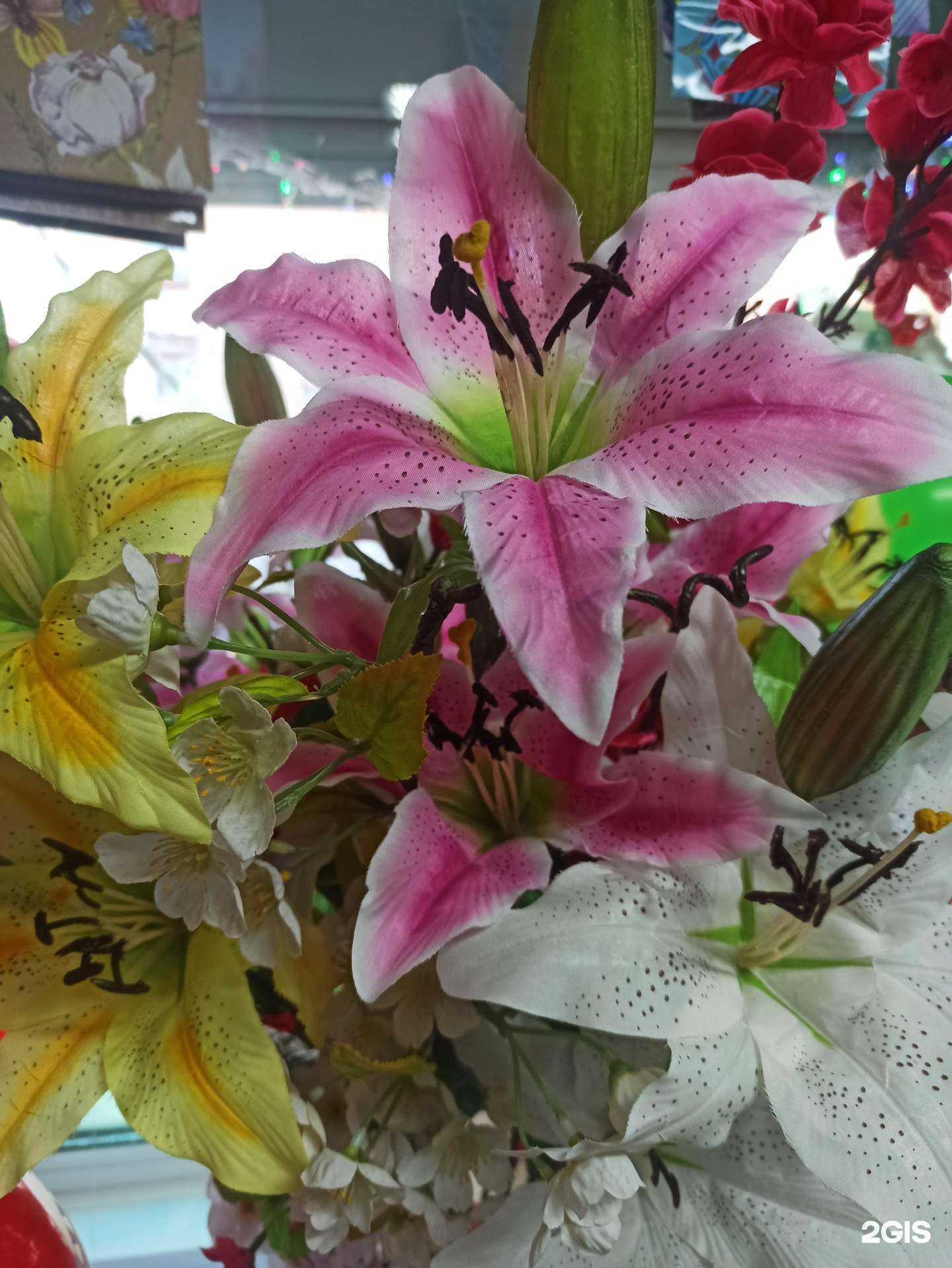 Отзывы на компанию Лилия в г. Тверь c фото