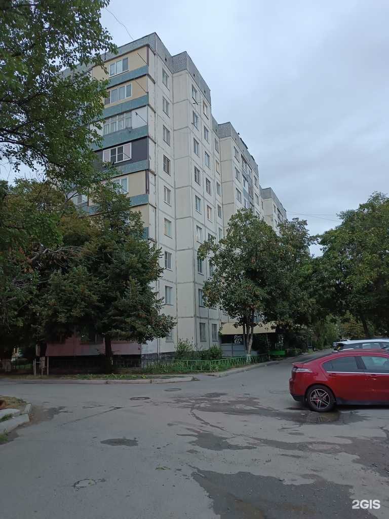 Отзывы на компанию Багира в Черкесске c фото - фотография 2 из 2