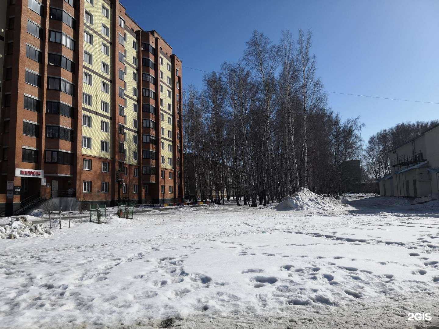 Отзывы на компанию Четыре Лапы в Бердске c фото - фотография 2 из 2