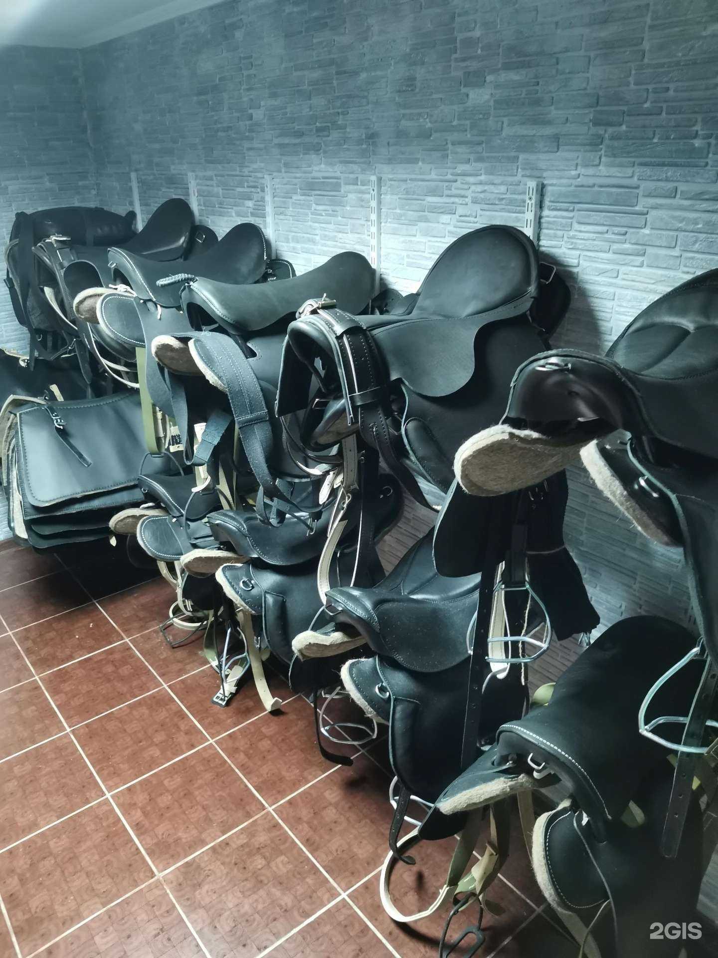 Отзывы на компанию Компания по производству и продаже амуниций для лошадей в г. Краснодар c фото