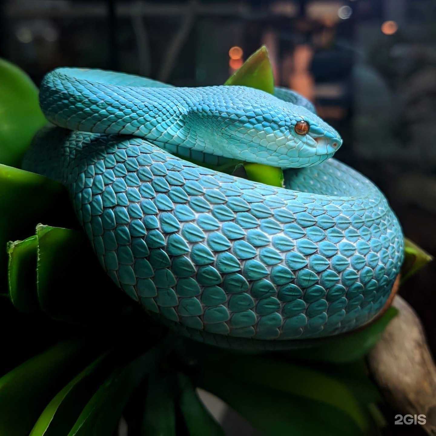 Отзывы на компанию Другой мир в Владивостоке c фото