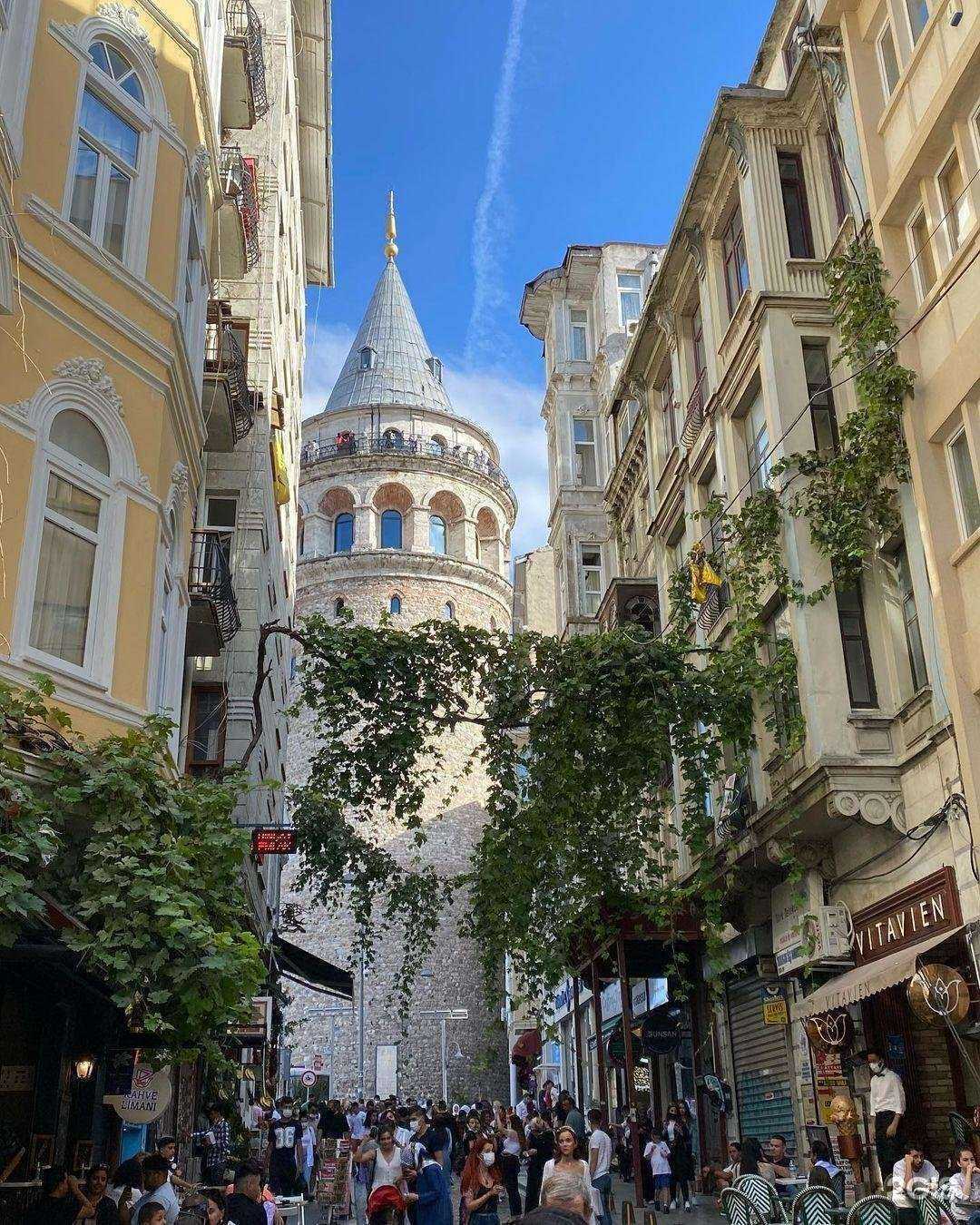 Отзывы на компанию Чемодан в Ставрополе c фото