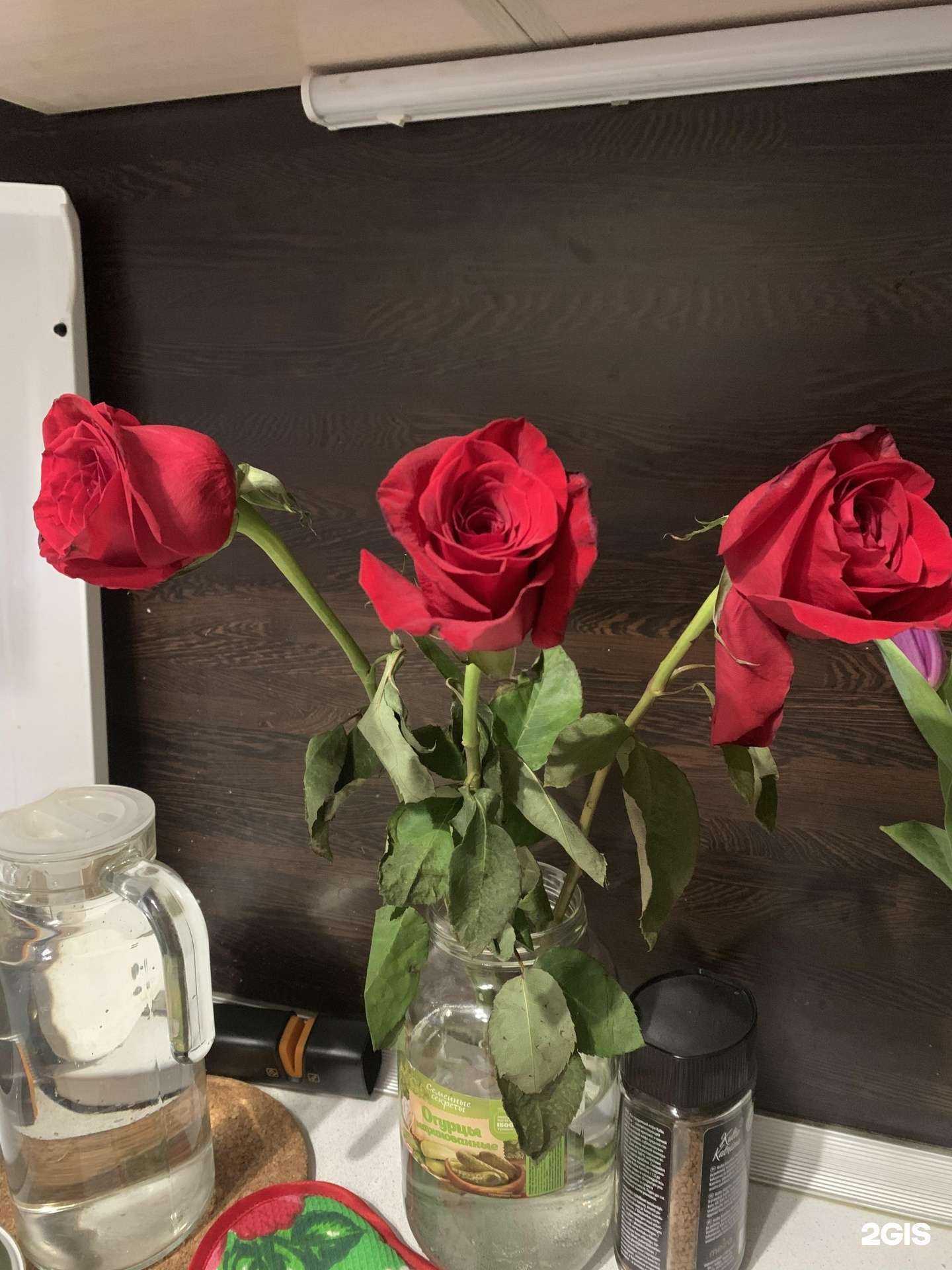 Отзывы на компанию 101 роза в г. Петрозаводск c фото