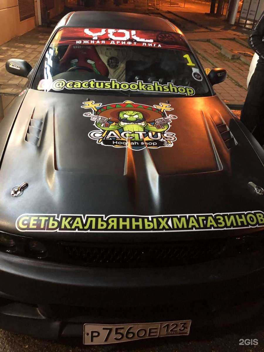 Отзывы на компанию Cactus в Краснодаре c фото