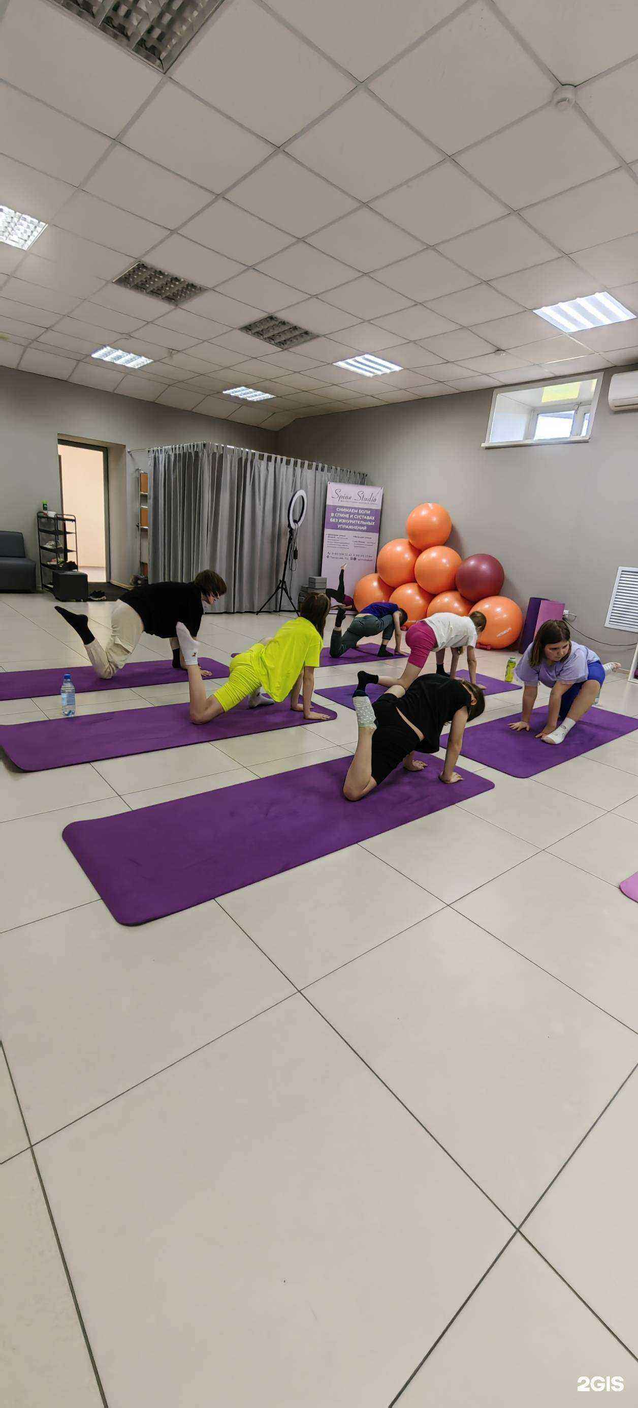 Отзывы на компанию Spine Studio в Абакане c фото