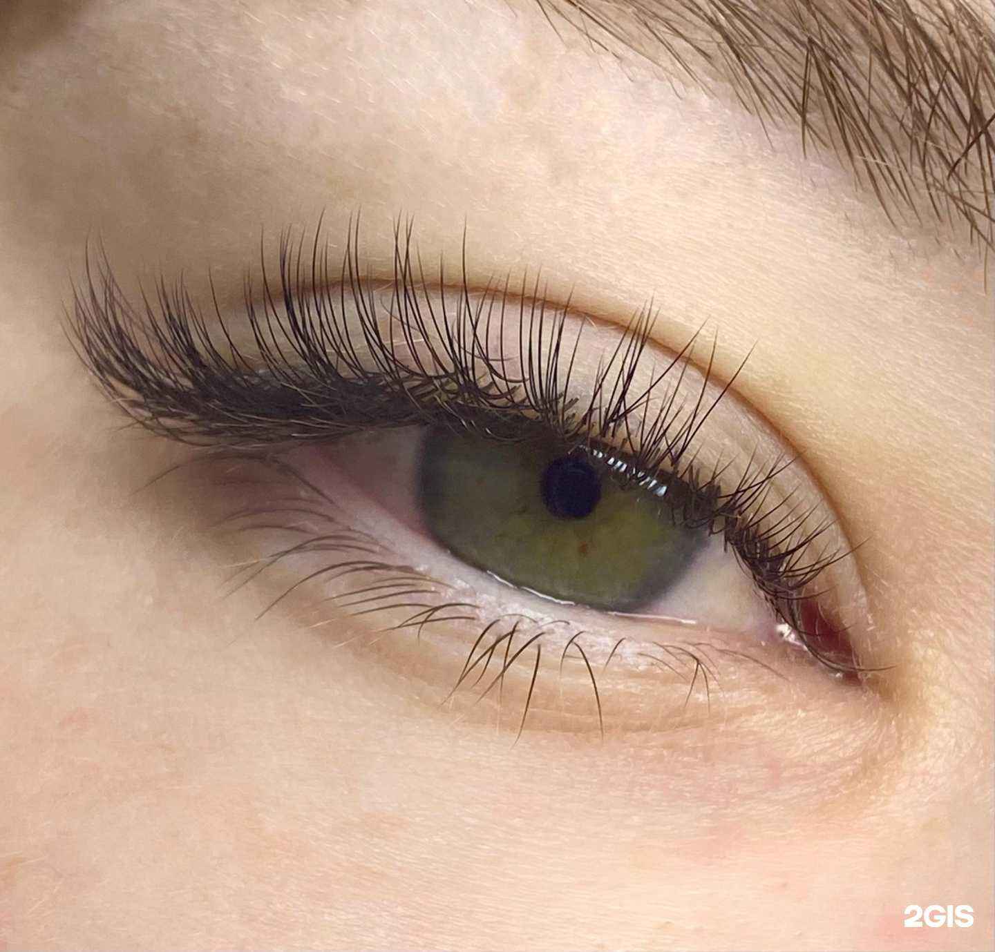 Отзывы на компанию Perfect Lashes в г. Улан-Удэ c фото