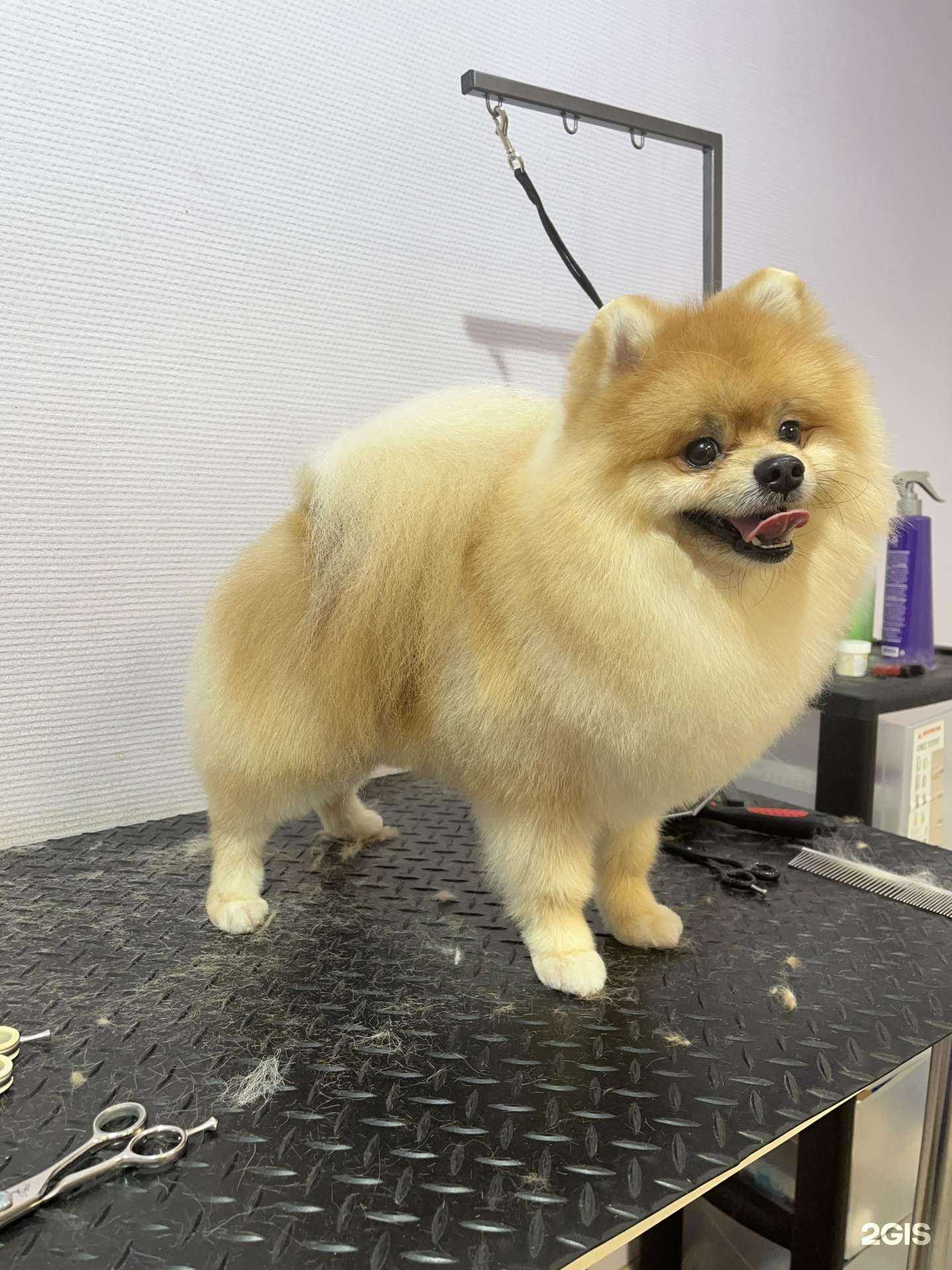 Отзывы на компанию Астигрум в Ногинске c фото