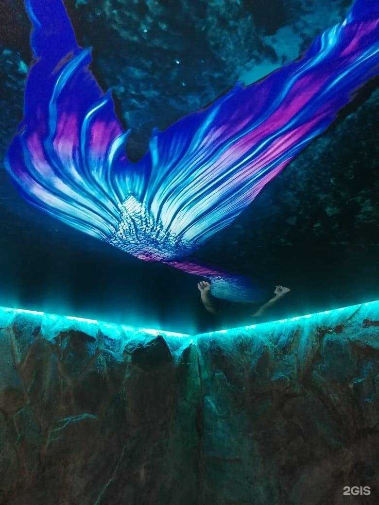 Отзывы на компанию Лесная сказка в Екатеринбурге c фото