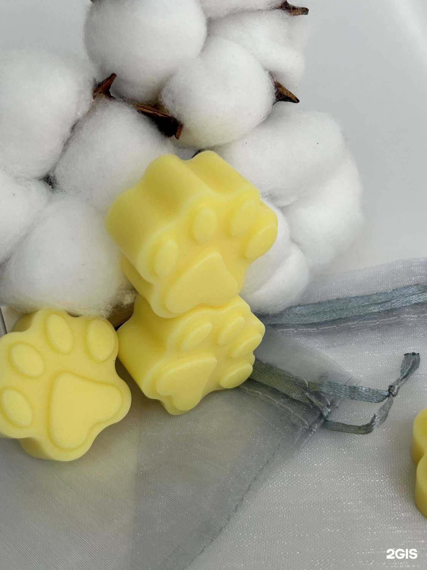 Отзывы на компанию Солнечный Лев в г. Ставрополь c фото