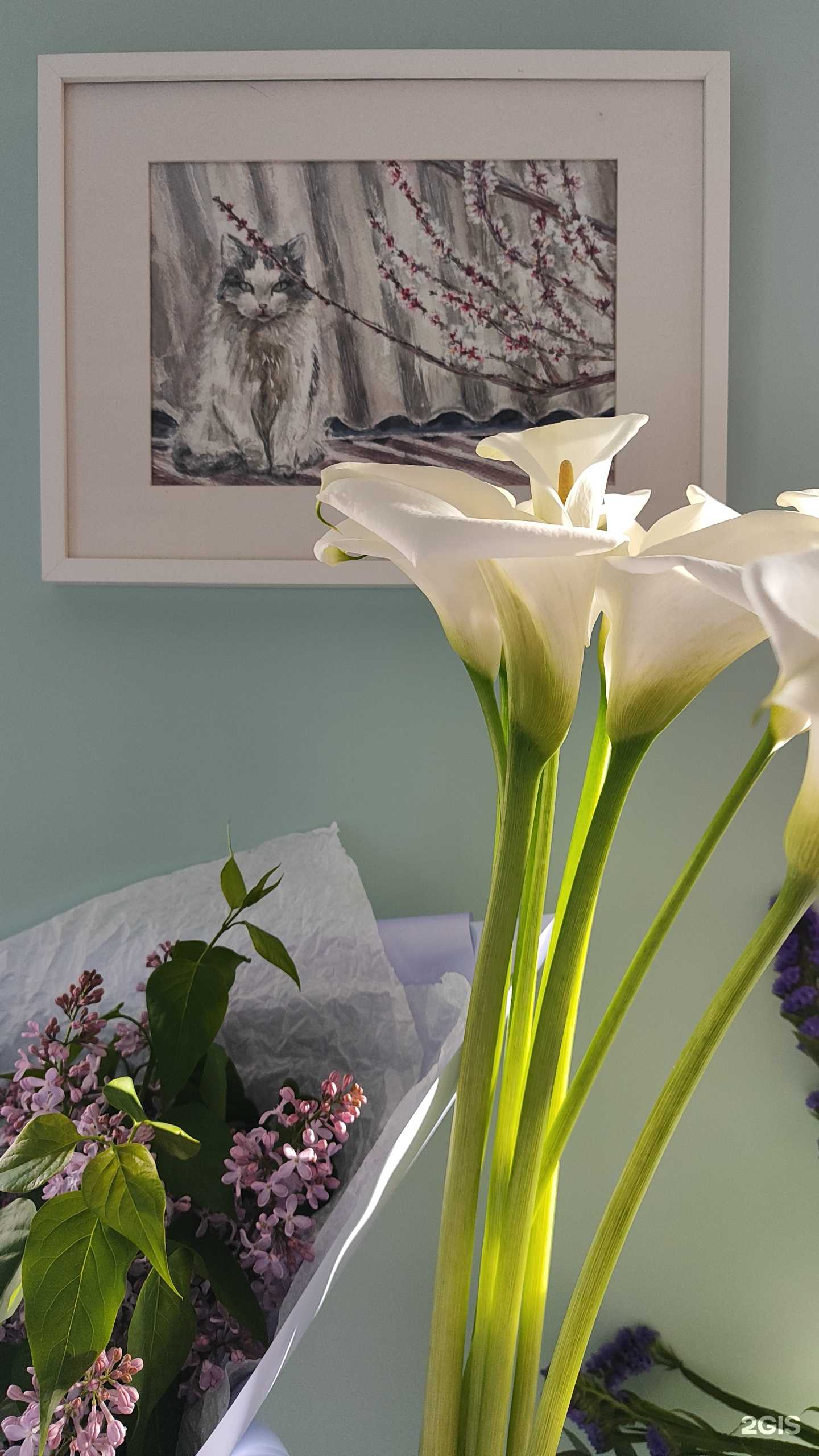 Отзывы на компанию Jony Sketching в Краснодаре c фото