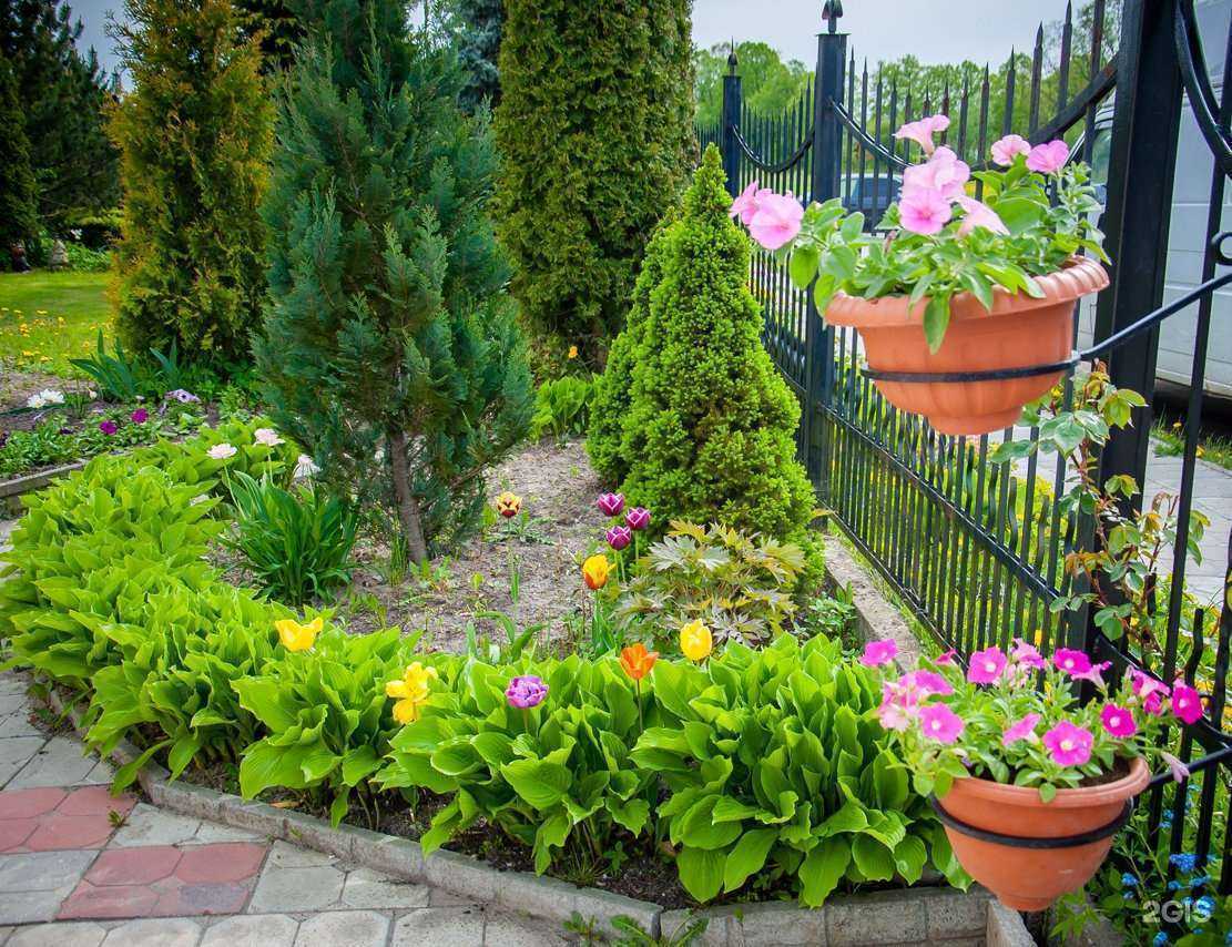 Отзывы на компанию Клиника Здоровья в Калининграде c фото