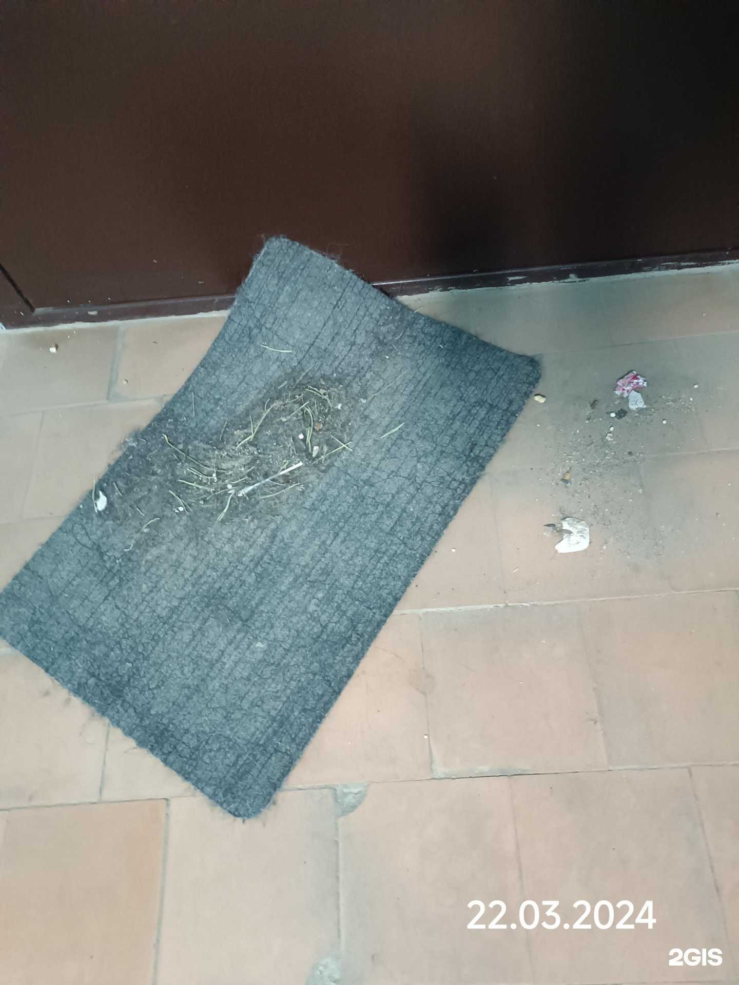 Отзывы на компанию Управляющая компания №1 ЖКХ в Тольятти c фото