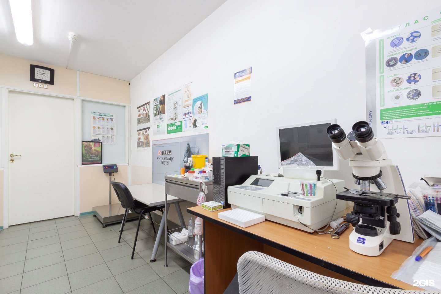 Отзывы на компанию Доктор Айболит в г. Екатеринбург c фото