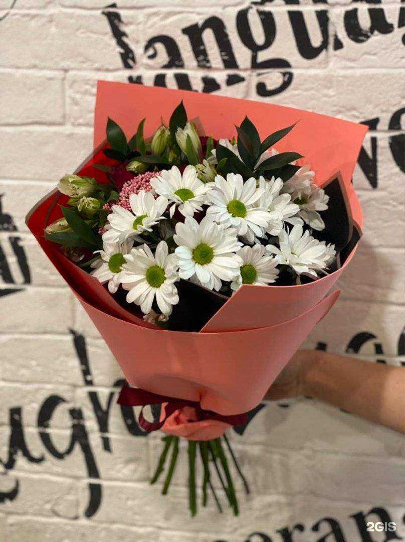 Отзывы на компанию Кактус в г. Омск c фото