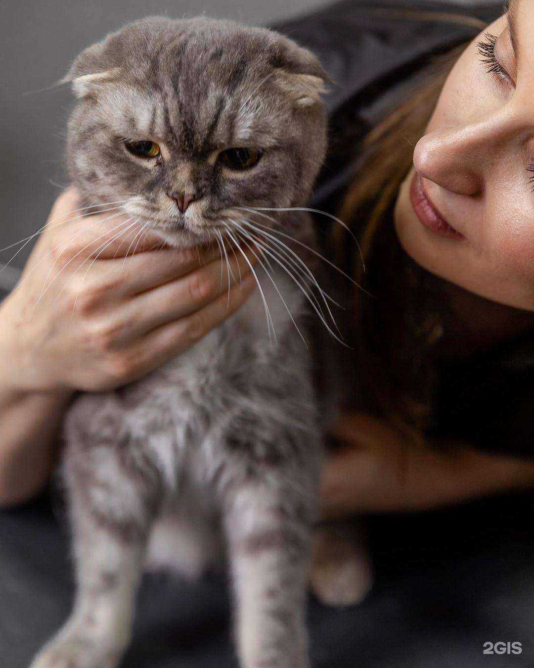 Отзывы на компанию Уши Лапы Хвост в г. Владимир c фото