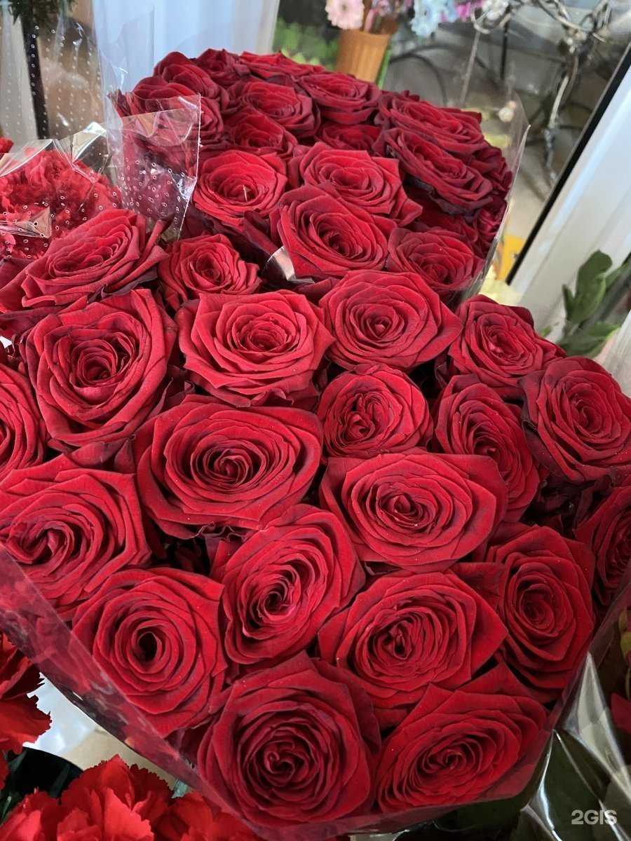 Отзывы на компанию Don Pion в Черкесске c фото