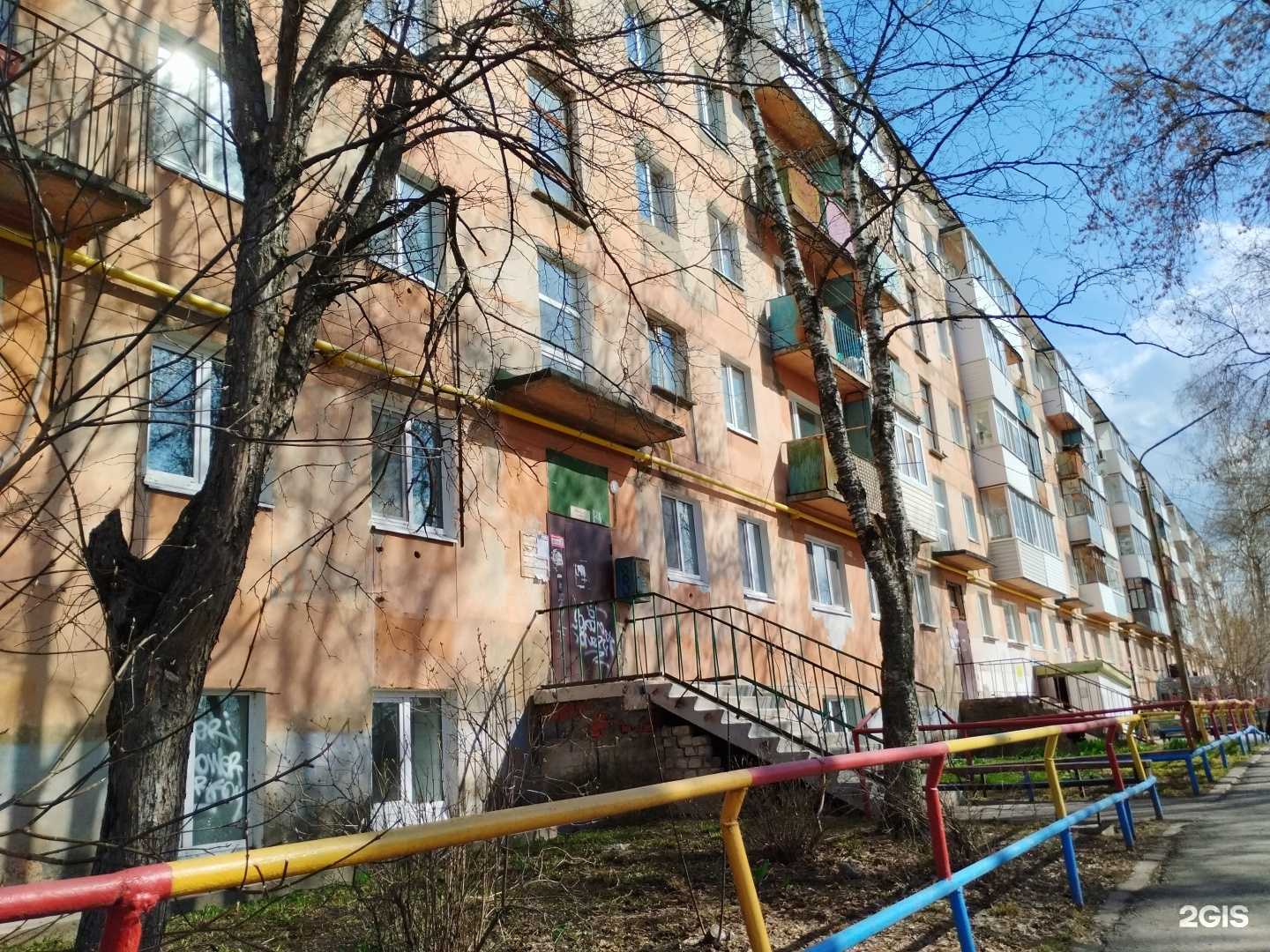 Отзывы на компанию Magic dog в Лысьве c фото - фотография 2 из 2