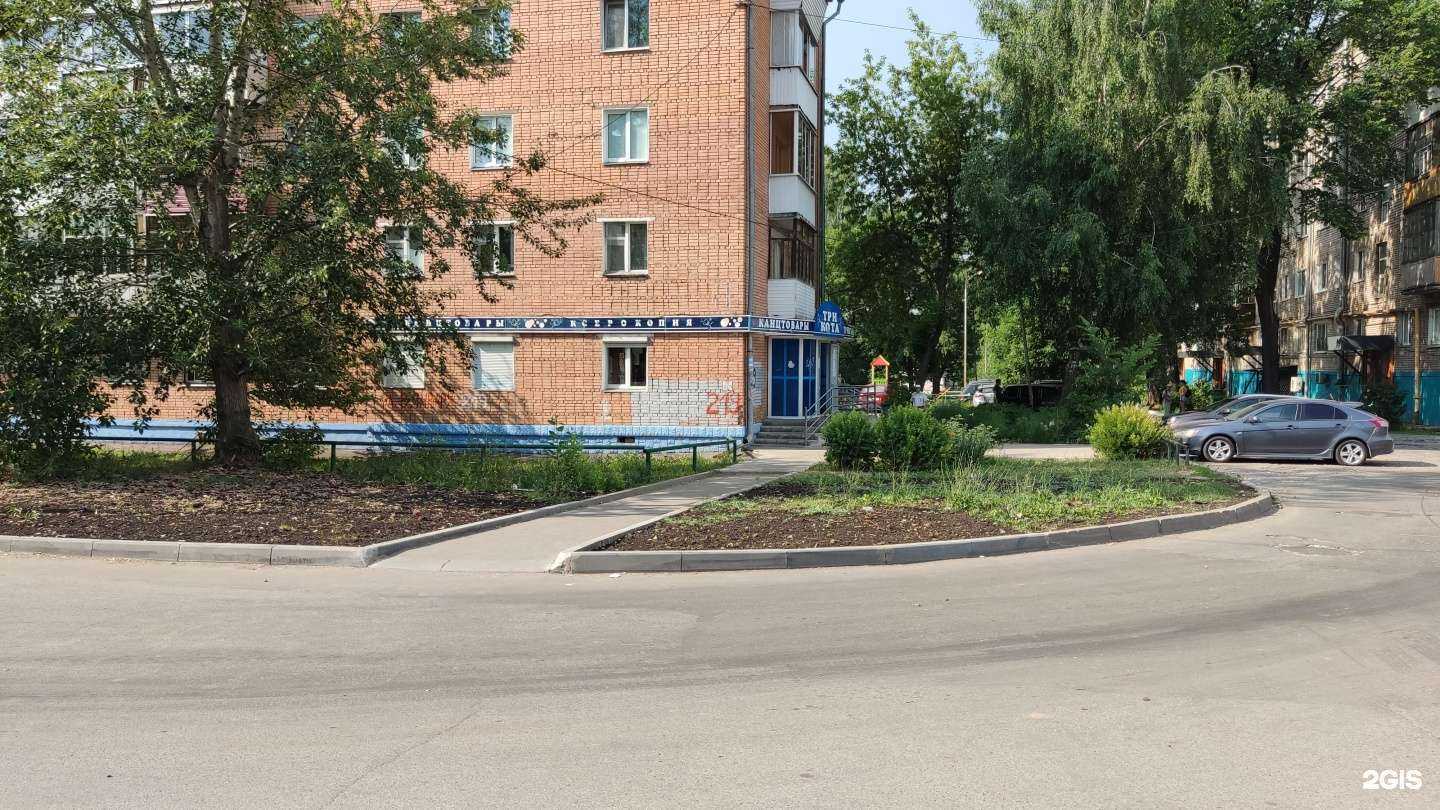 Отзывы на компанию Три кота в г. Ижевск c фото