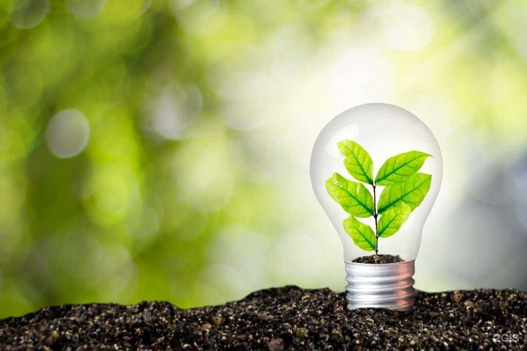 Отзывы на компанию Волгоградский государственный университет в г. Волгоград c фото