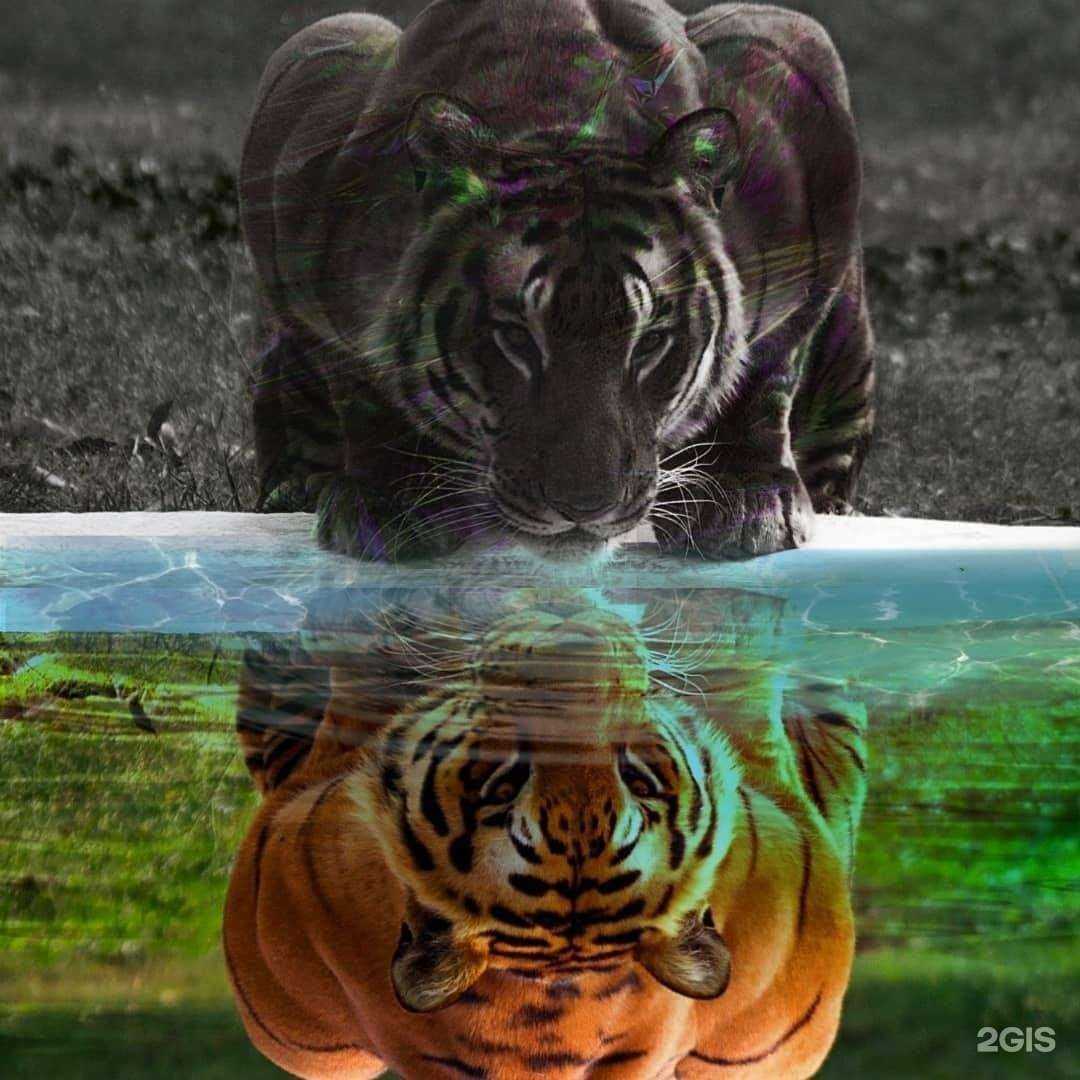 Отзывы на компанию Jekky в г. Петропавловск-Камчатский c фото