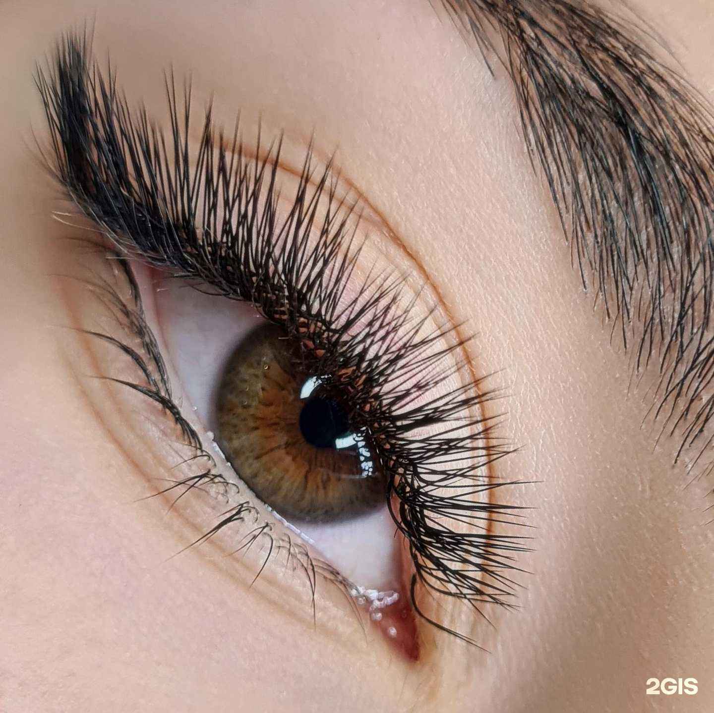 Отзывы на компанию BaCCara в Сочи c фото