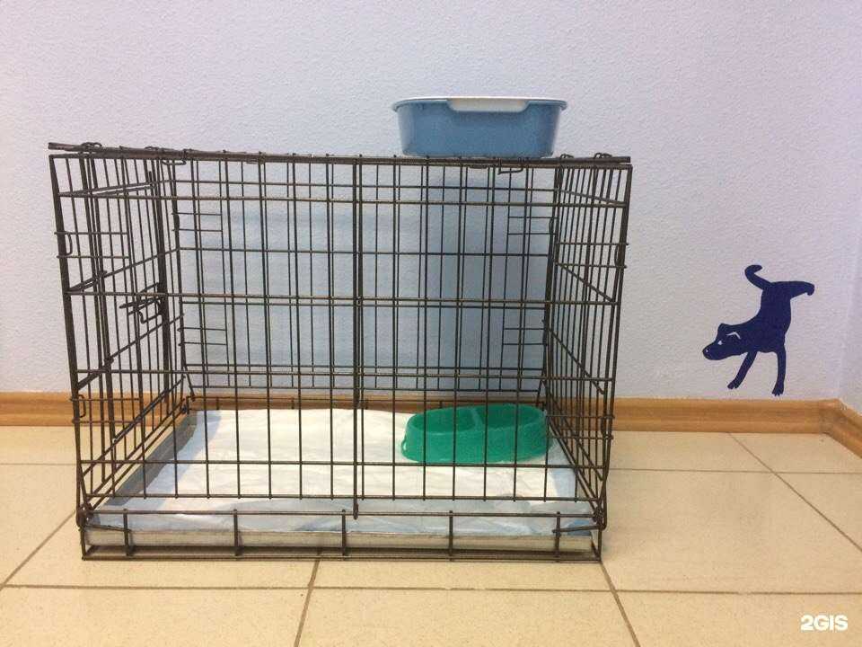 Отзывы на компанию 9 жизней в Великом Новгороде c фото