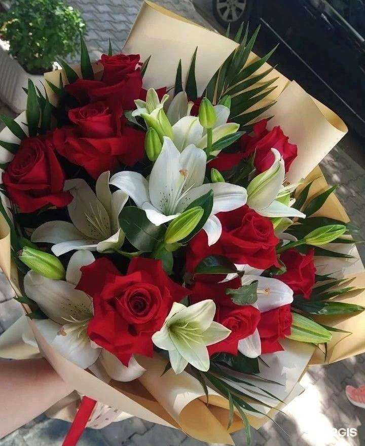 Отзывы на компанию Папа Бутон в Зеленогорске c фото