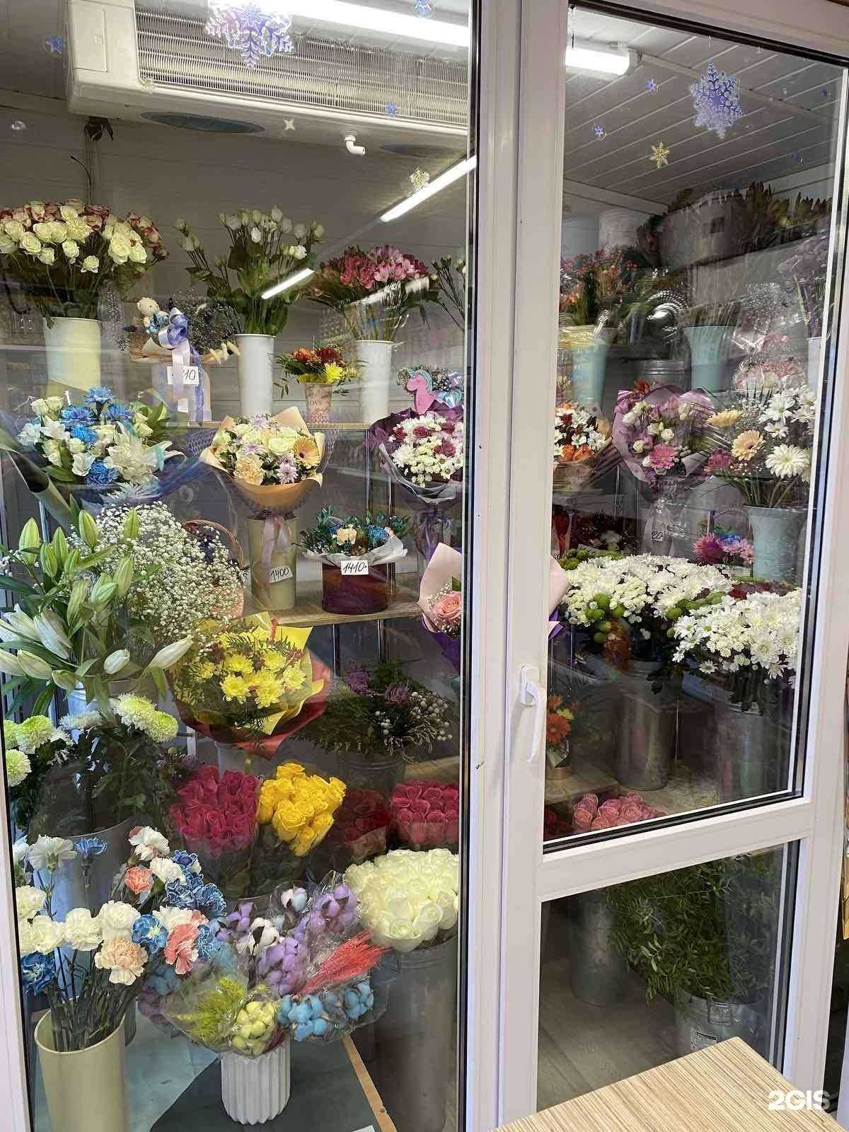 Отзывы на компанию Актив-салют в Челябинске c фото